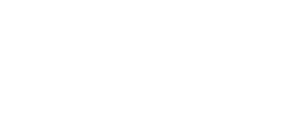 Synergy Courses Logo